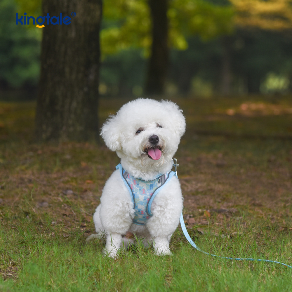 Correa antichoque reflectante para perro, arnés acolchado a la moda, estilo chaleco