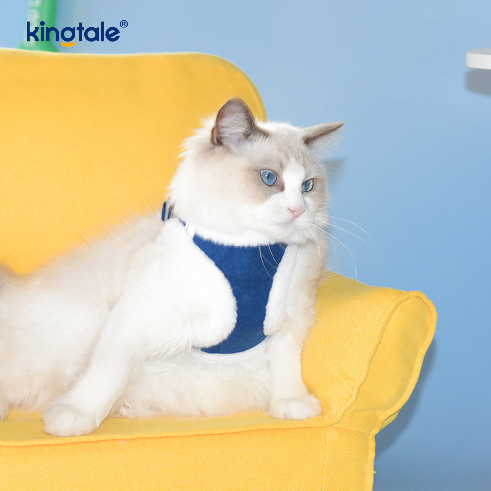 Arnés para perros de felpa, conjunto de correa, chaleco con arnés para perros que caminan en otoño