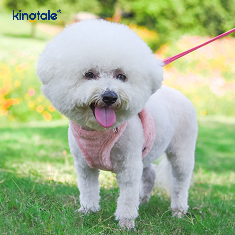 Arnés para perros de felpa, conjunto de correa, chaleco con arnés para perros que caminan en otoño