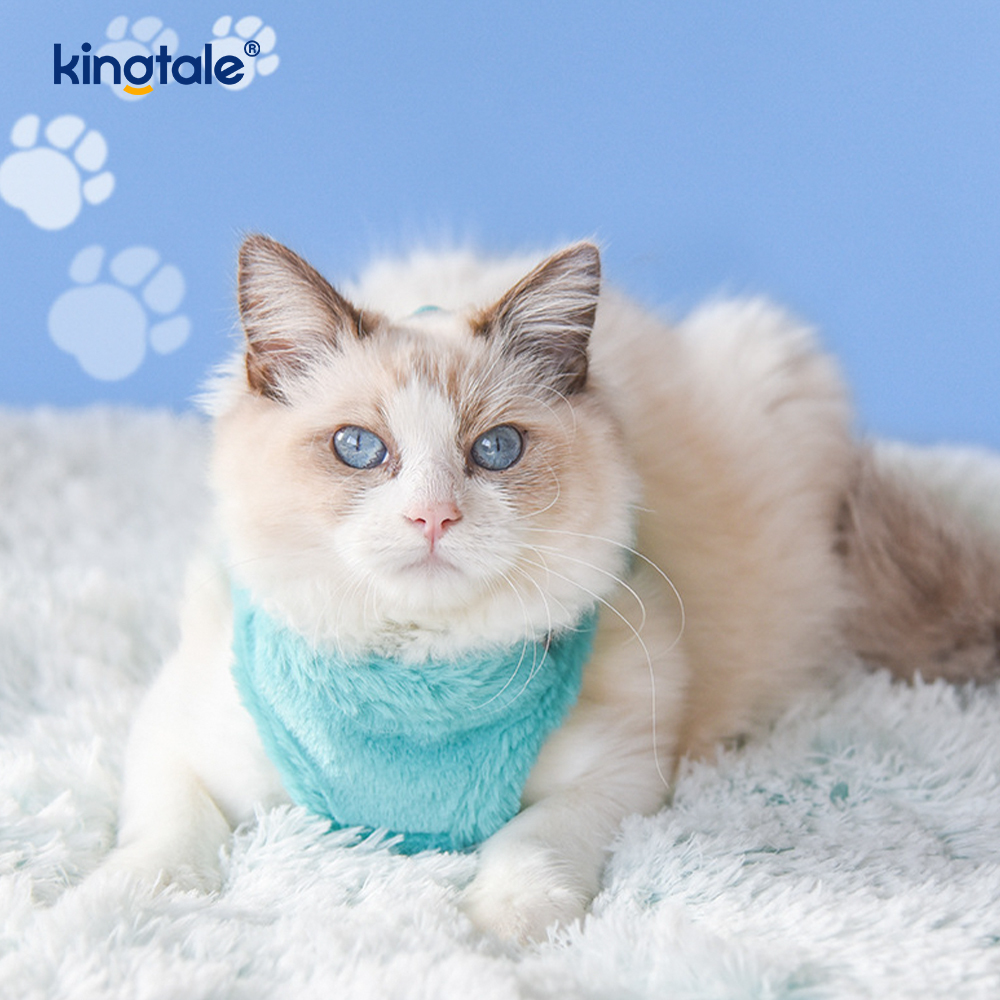 Arnés para perros de felpa, conjunto de correa, chaleco con arnés para perros que caminan en otoño