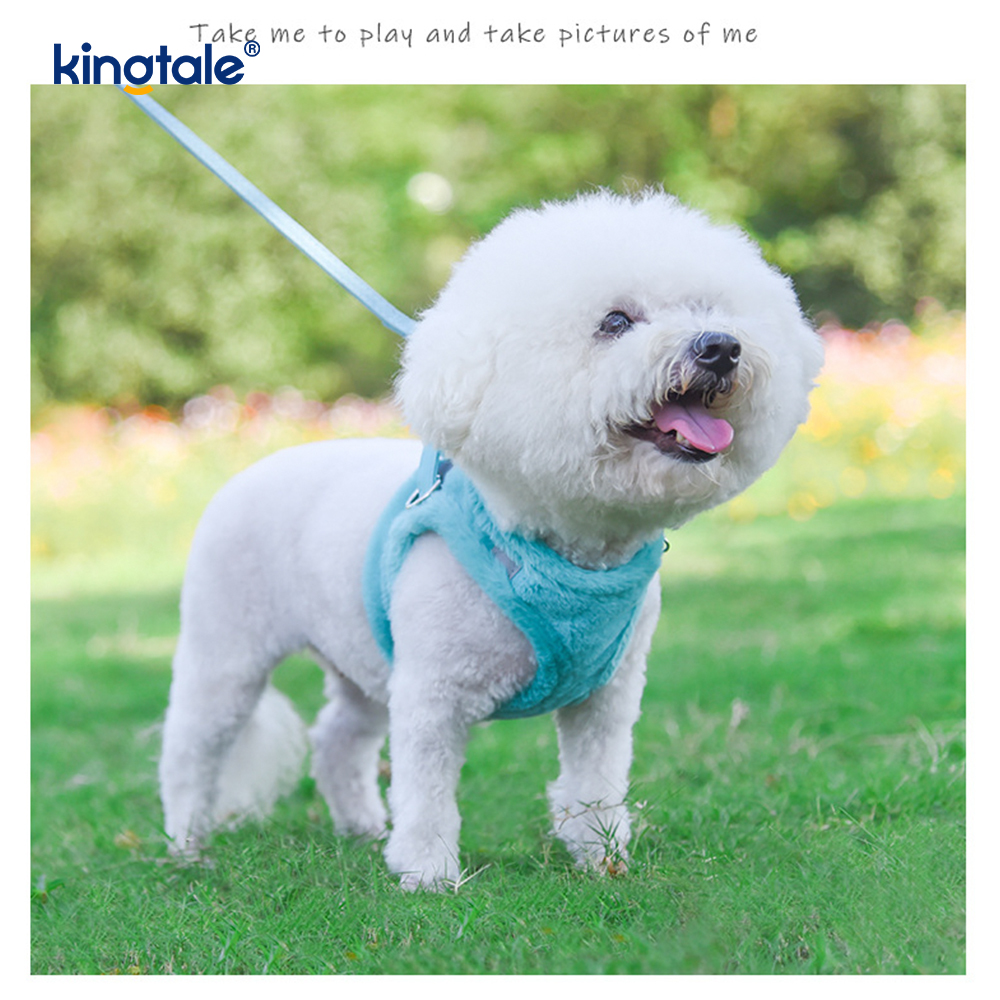 Arnés para perros de felpa, conjunto de correa, chaleco con arnés para perros que caminan en otoño