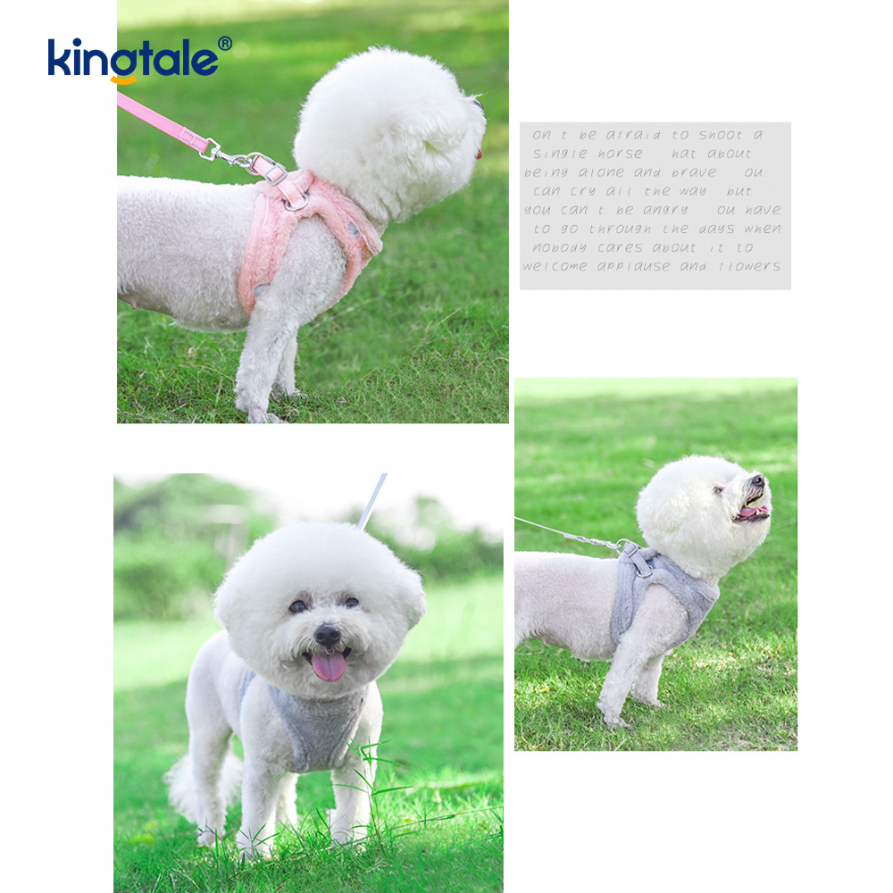 Arnés para perros de felpa, conjunto de correa, chaleco con arnés para perros que caminan en otoño