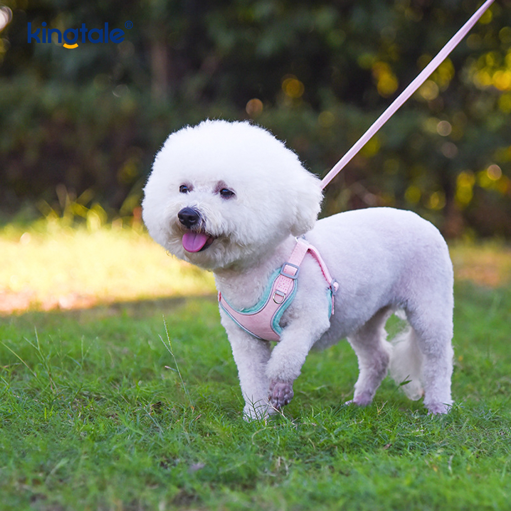 Conjunto de correa y arnés con diamantes de imitación ostentosos para perros y gatos pequeños ajustables de cuero