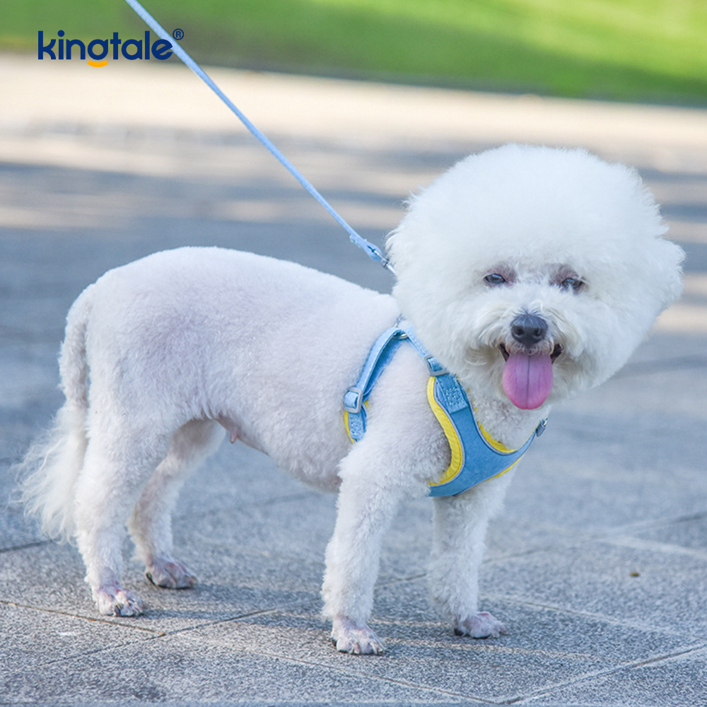 Conjunto de correa y arnés con diamantes de imitación ostentosos para perros y gatos pequeños ajustables de cuero