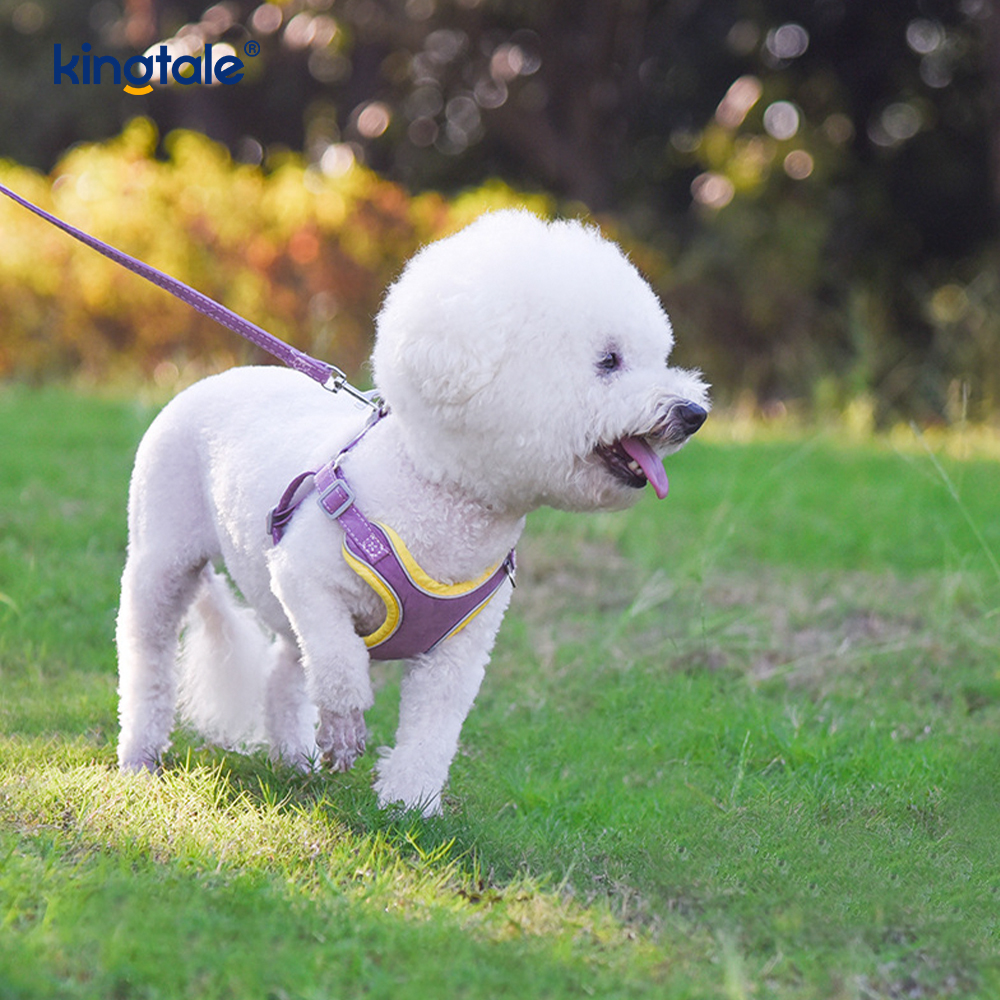 Conjunto de correa y arnés con diamantes de imitación ostentosos para perros y gatos pequeños ajustables de cuero