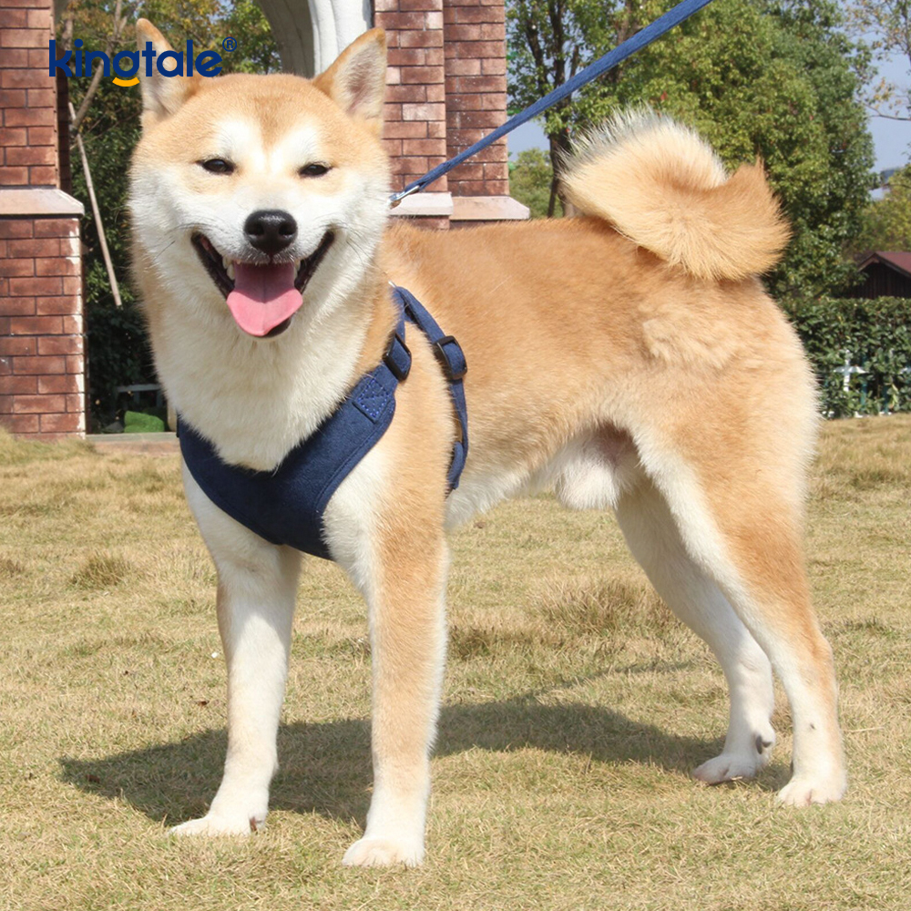 Conjunto de correa y arnés con diamantes de imitación ostentosos para perros y gatos pequeños ajustables de cuero