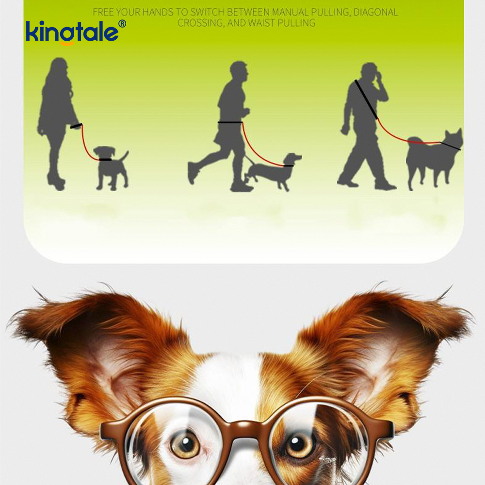 Ninguna correa colorida del resbalón del perro de la manija doble de nylon ajustable durable del tirón