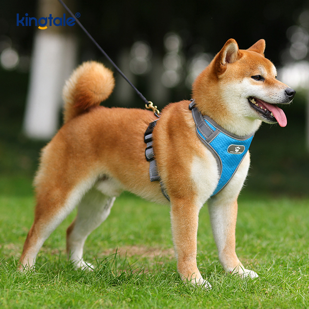 Arnés para mascotas sin tirones, acolchado suave y ajustable, chaleco reflectante Oxford para perros