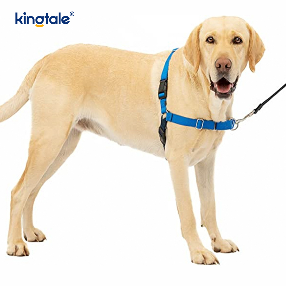 El arnés para perros sin tirones ayuda a dejar de tirar, toma el control y enseña modales con la correa