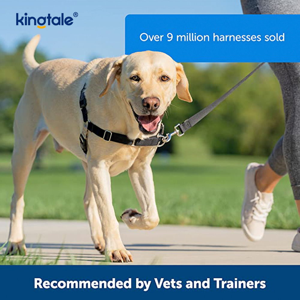 El arnés para perros sin tirones ayuda a dejar de tirar, toma el control y enseña modales con la correa