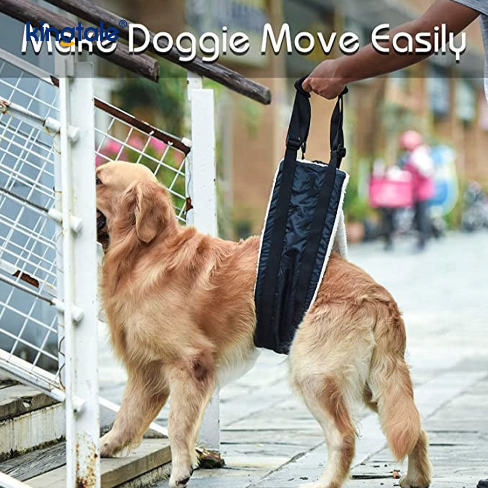 Arnés sostenible sólido modificado para requisitos particulares de la elevación del perro de la honda portátil portátil del perro para los animales domésticos