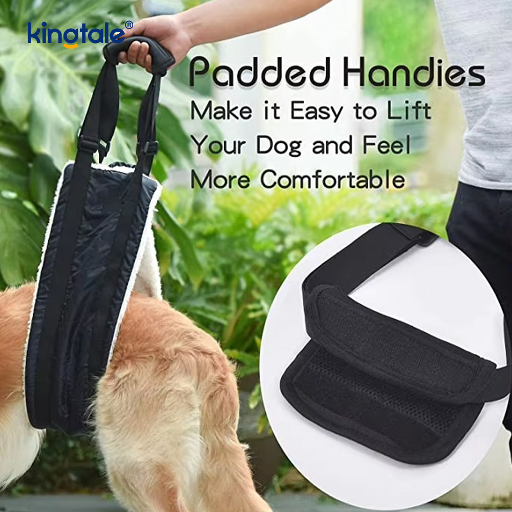 Arnés sostenible sólido modificado para requisitos particulares de la elevación del perro de la honda portátil portátil del perro para los animales domésticos