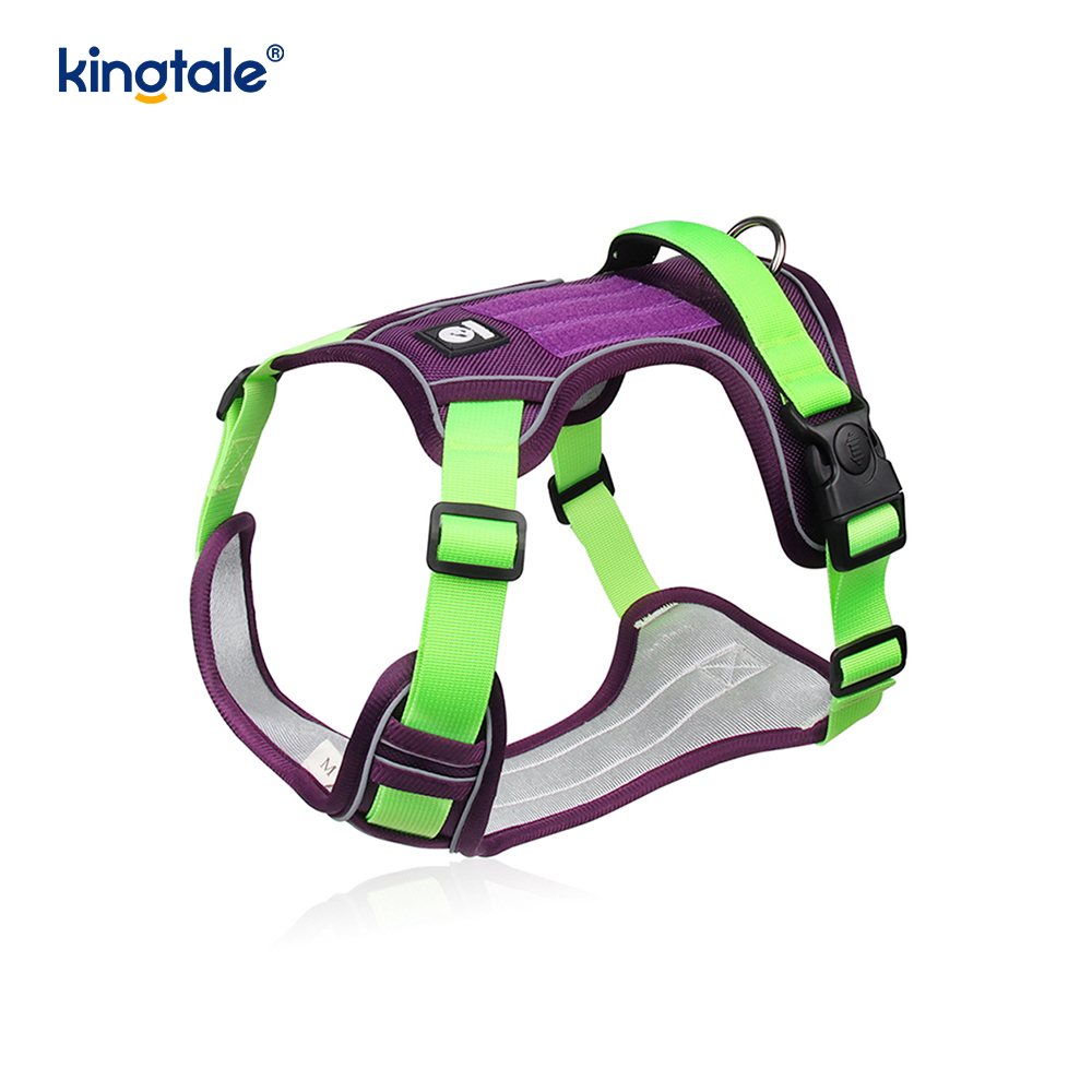 Arnés respirable ajustable reflexivo del deporte del remache de nylon con el correo de perro