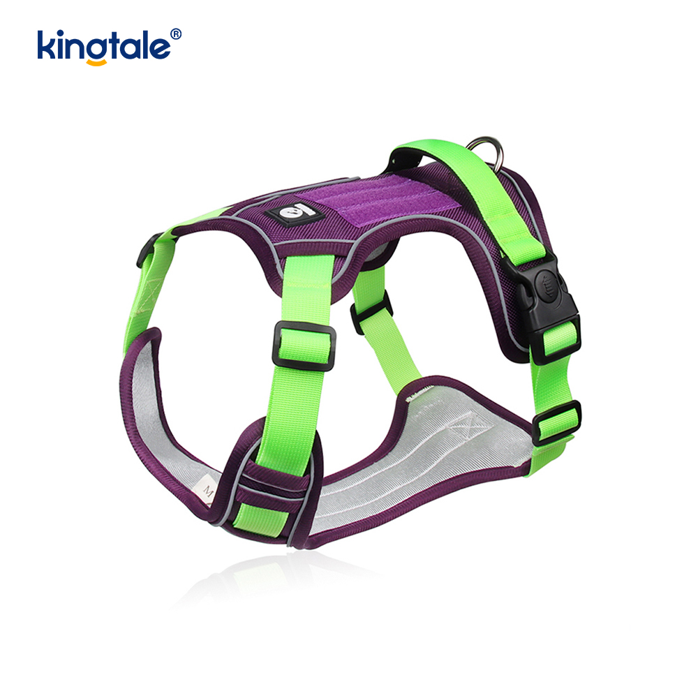 Arnés respirable ajustable reflexivo del deporte del remache de nylon con el correo de perro