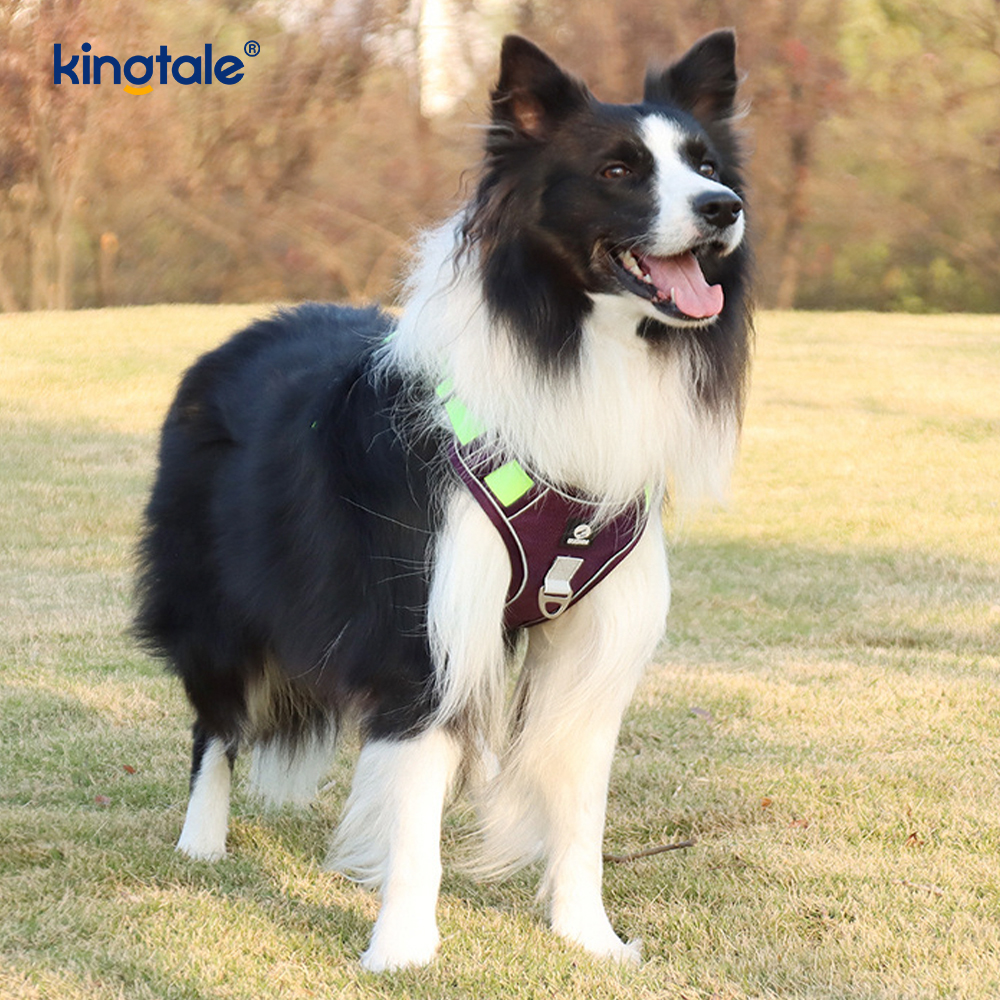 Arnés respirable ajustable reflexivo del deporte del remache de nylon con el correo de perro
