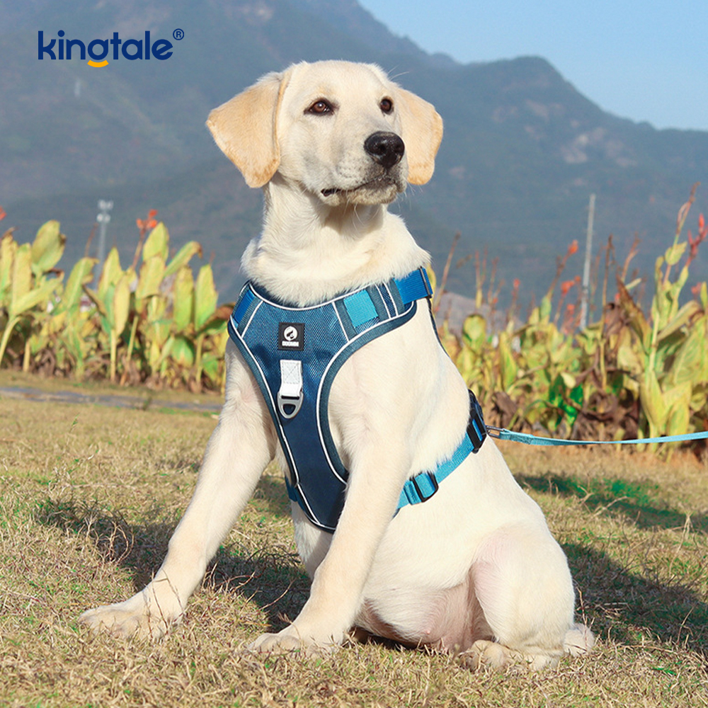 Arnés respirable ajustable reflexivo del deporte del remache de nylon con el correo de perro