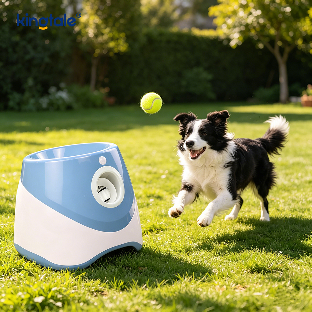 Lanzador automático de pelotas con 3 mini pelotas de tenis, juguetes para perros al aire libre