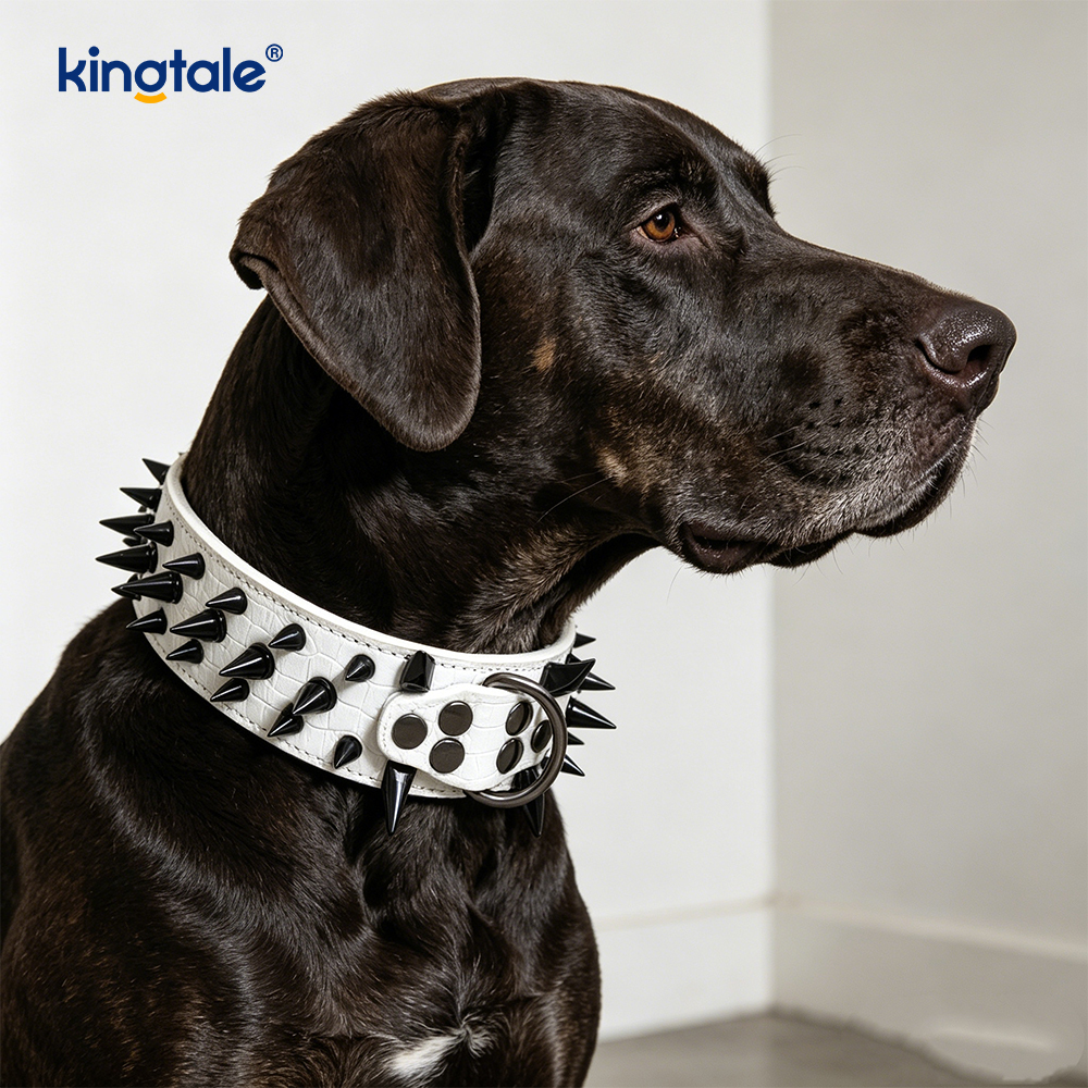 Collar de perro con tachuelas y puntas afiladas Collares de perro de cuero elegantes