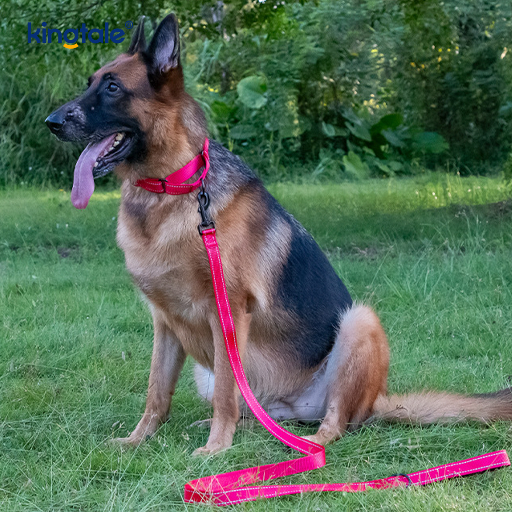 Collar de perro martingala de nailon ajustable reflectante sin tirón de liberación rápida