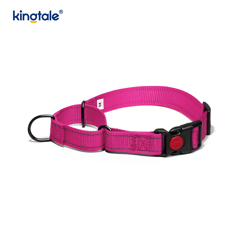 Collar de perro martingala de nailon ajustable reflectante sin tirón de liberación rápida