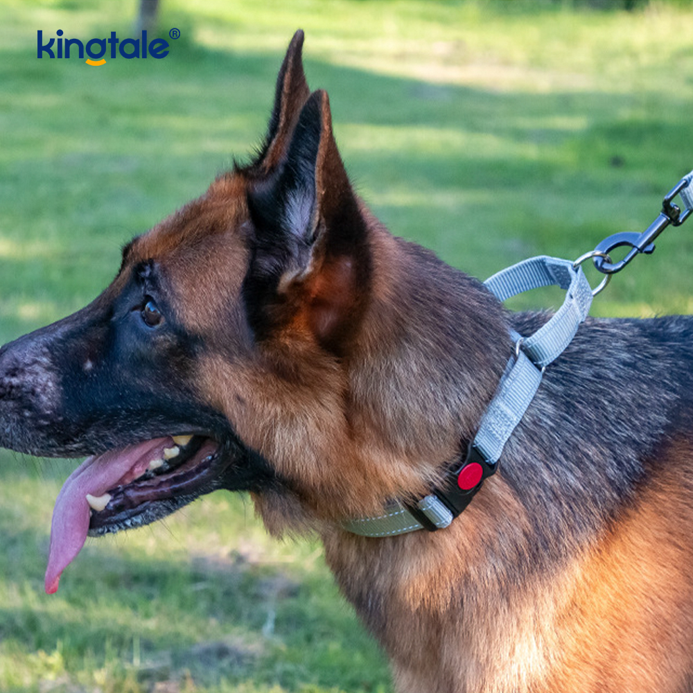 Collar de perro martingala de nailon ajustable reflectante sin tirón de liberación rápida