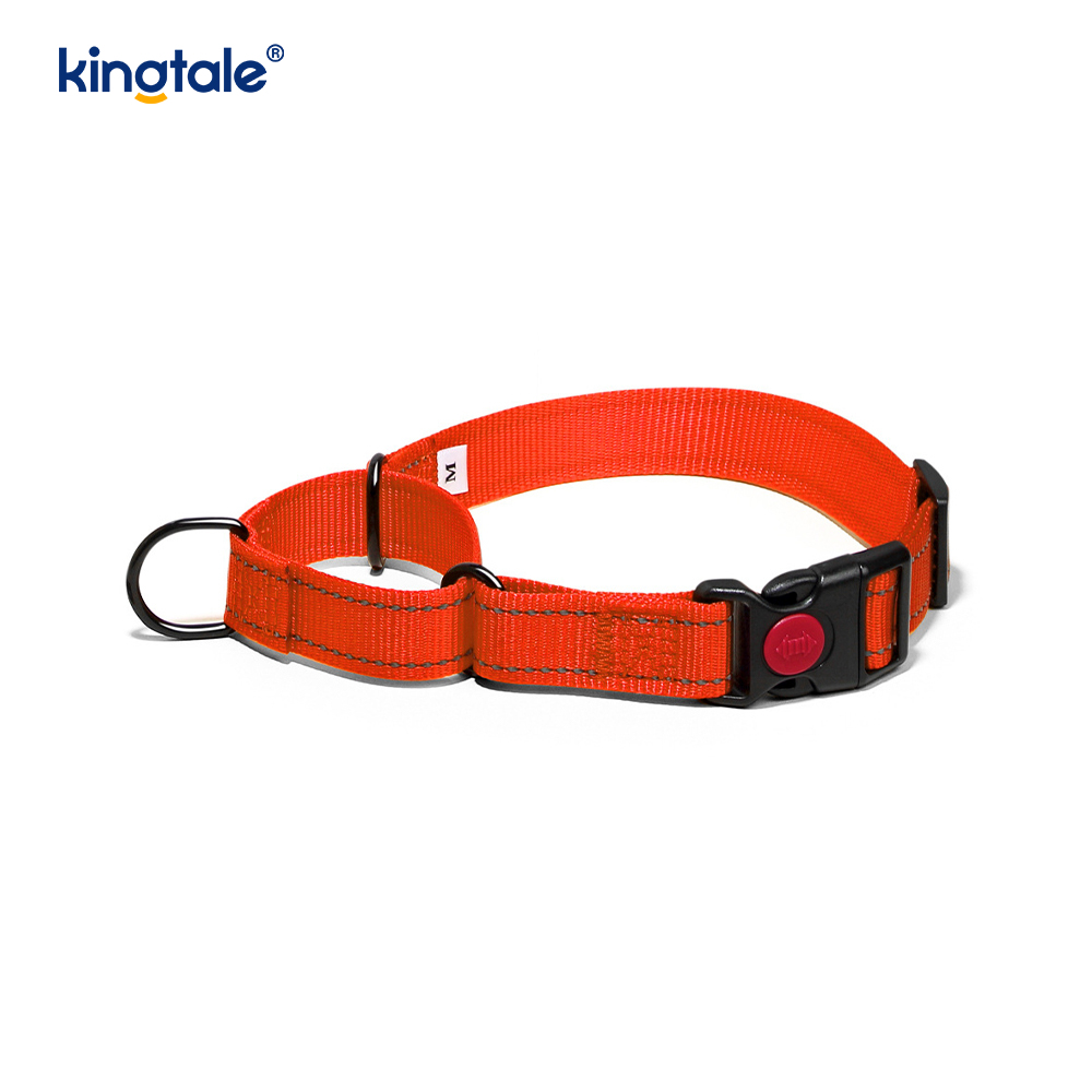 Collar de perro martingala de nailon ajustable reflectante sin tirón de liberación rápida