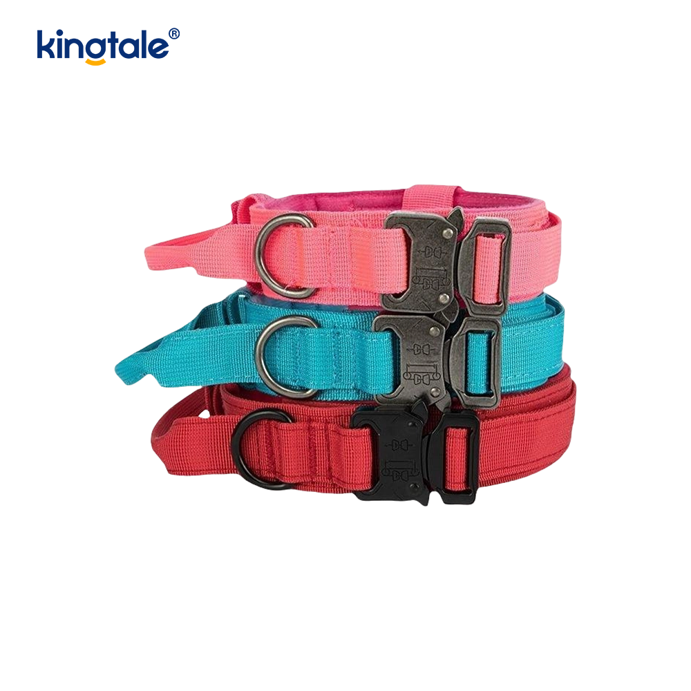 CutsomTraining Mango de control de nailon Collar con hebilla de metal