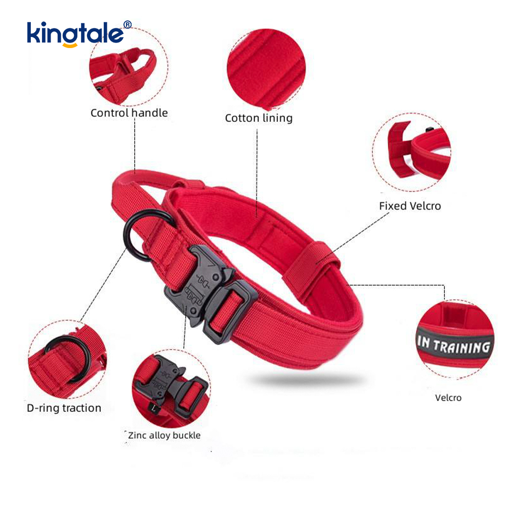 CutsomTraining Mango de control de nailon Collar con hebilla de metal