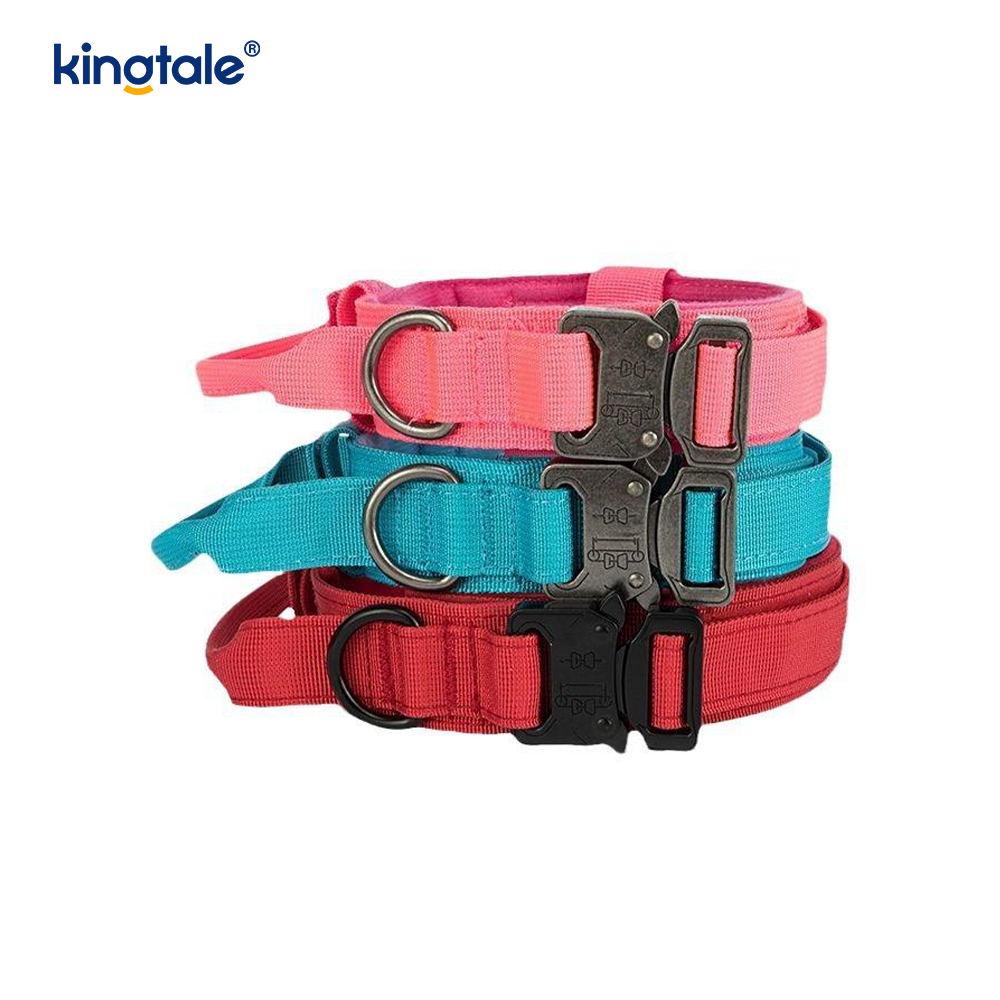 CutsomTraining Mango de control de nailon Collar con hebilla de metal