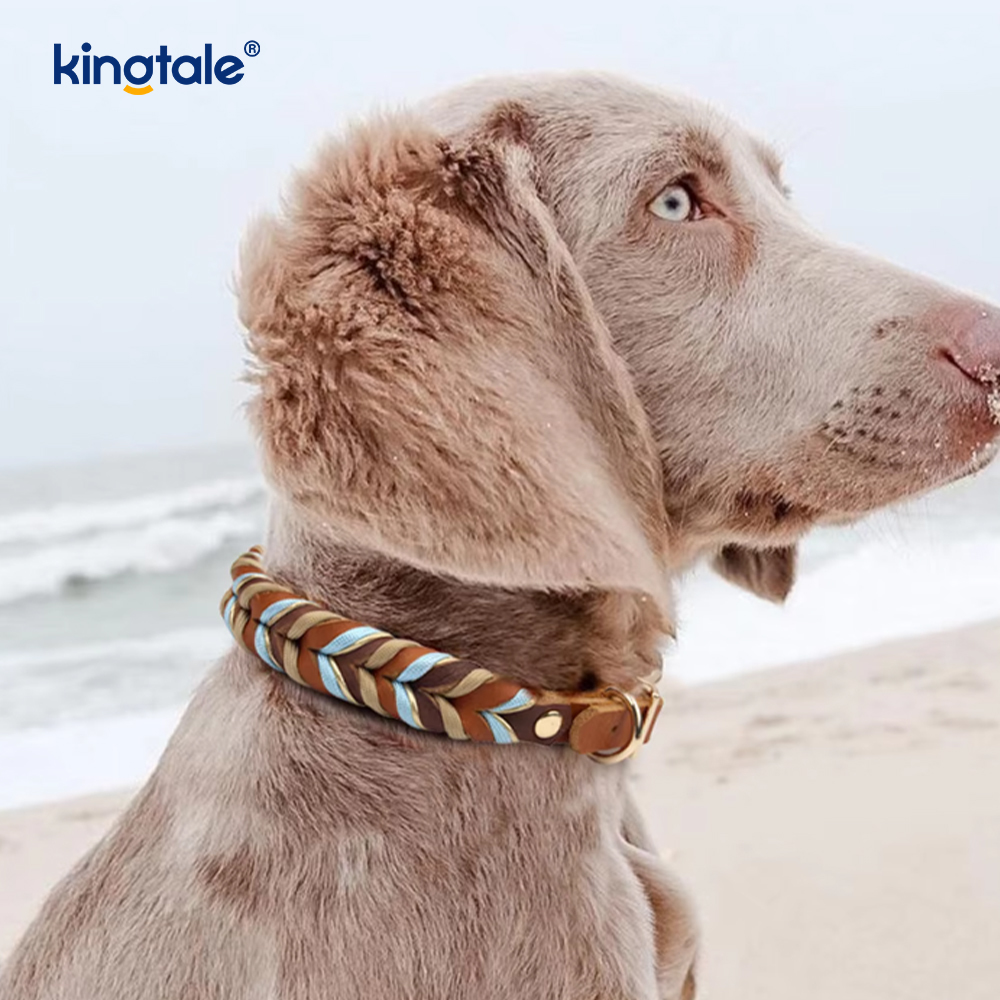 Juego de correa y collar para perro de cuero genuino, suave y duradero