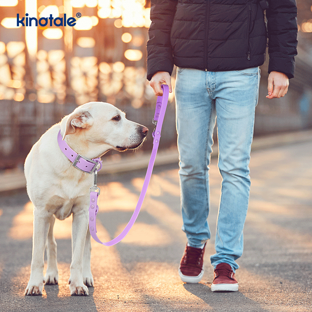 Correa para collares de perro resistente a la abrasión, impermeable y recubierta de PVC