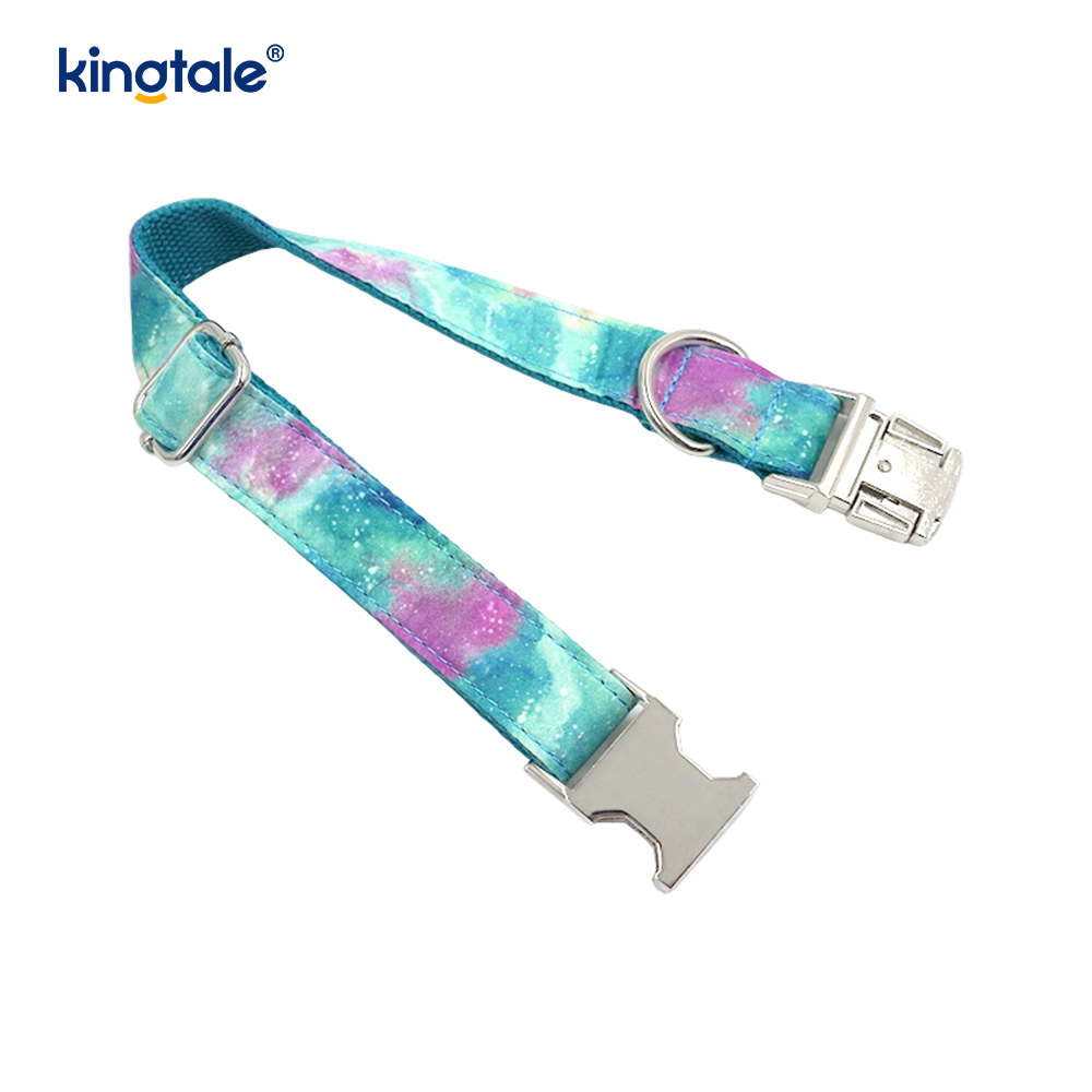Collar para mascotas Dreamy Starry Sky, collar para perros estilo Amazon, correa