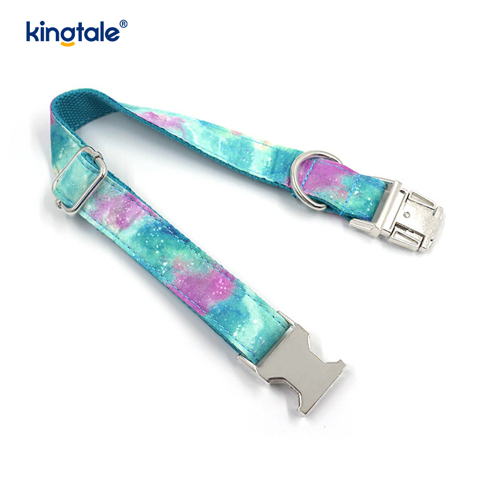 Collar para mascotas Dreamy Starry Sky, collar para perros estilo Amazon, correa