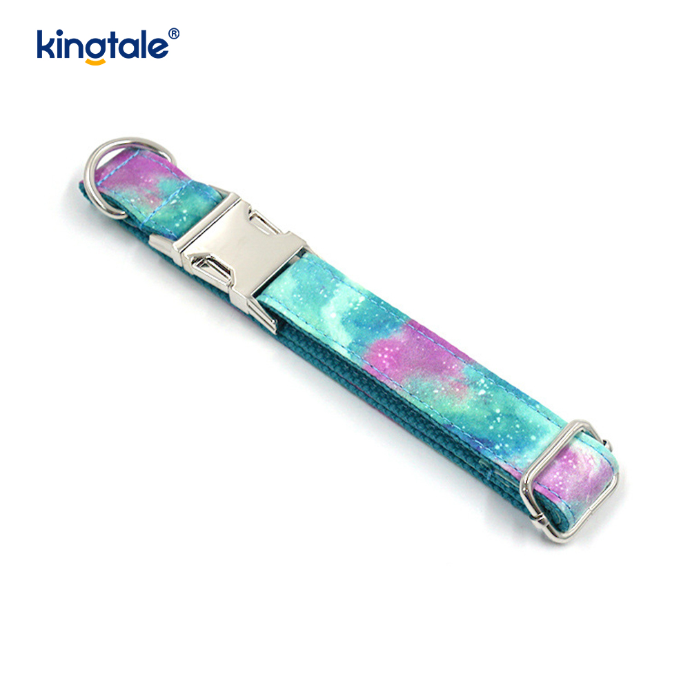 Collar para mascotas Dreamy Starry Sky, collar para perros estilo Amazon, correa