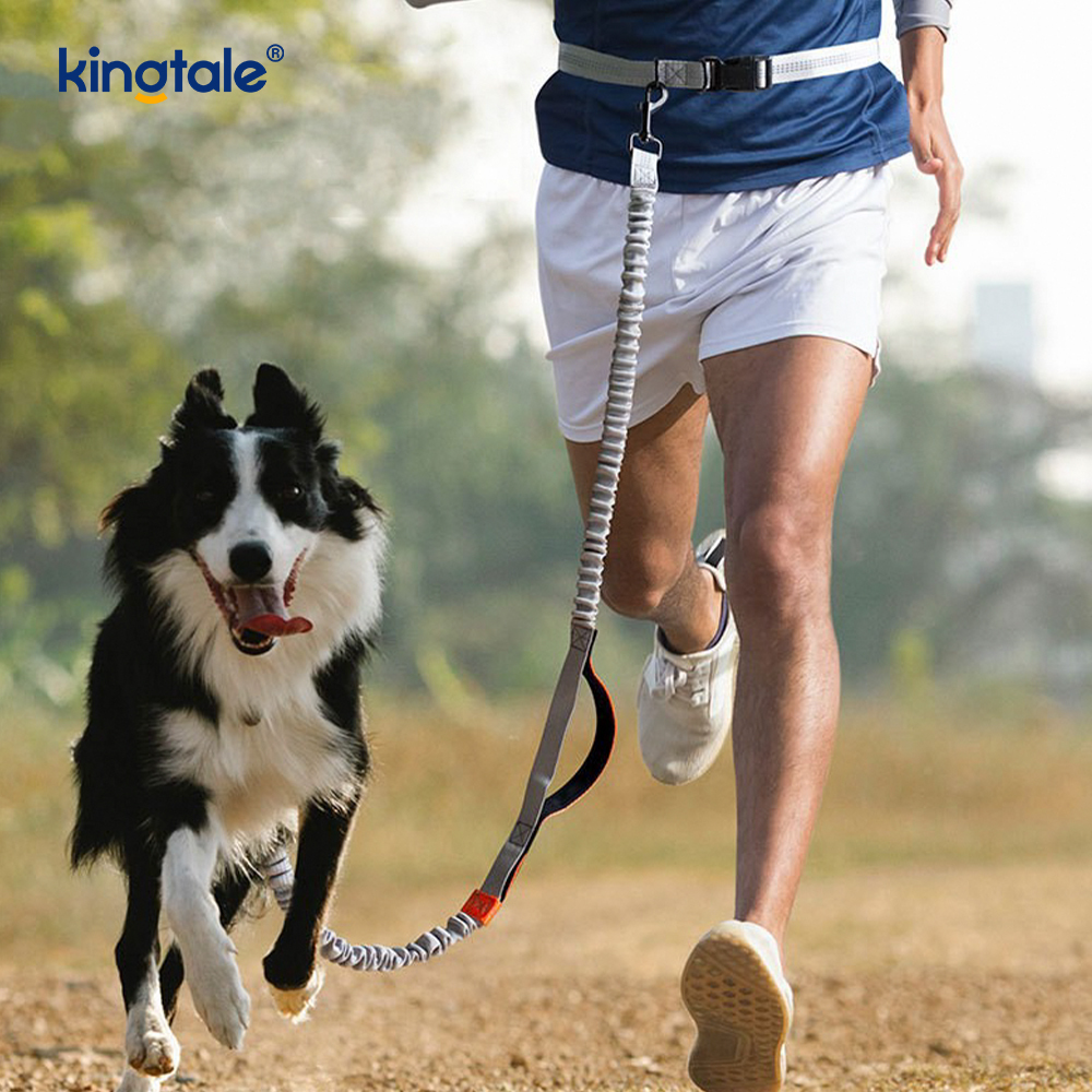 Correa para perro retráctil doble reflectante de Amazon para correr al aire libre