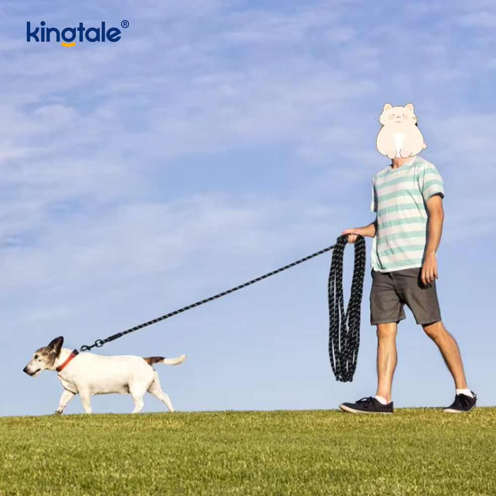 Correas de nylon reflexivas del animal doméstico de la nueva llegada de la correa de perro de la impresión de la moda