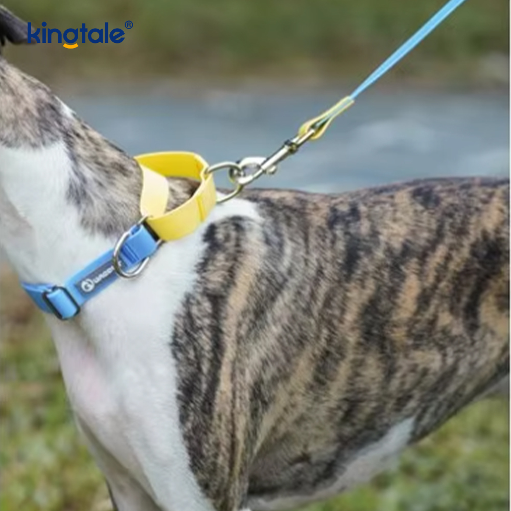Correa de perro impermeable, suministros de nailon simples para mascotas, moda de lujo