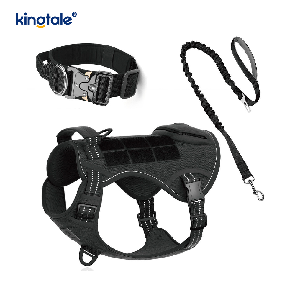 Entrenamiento de nailon sin arnés con correa y cuello para perros con control