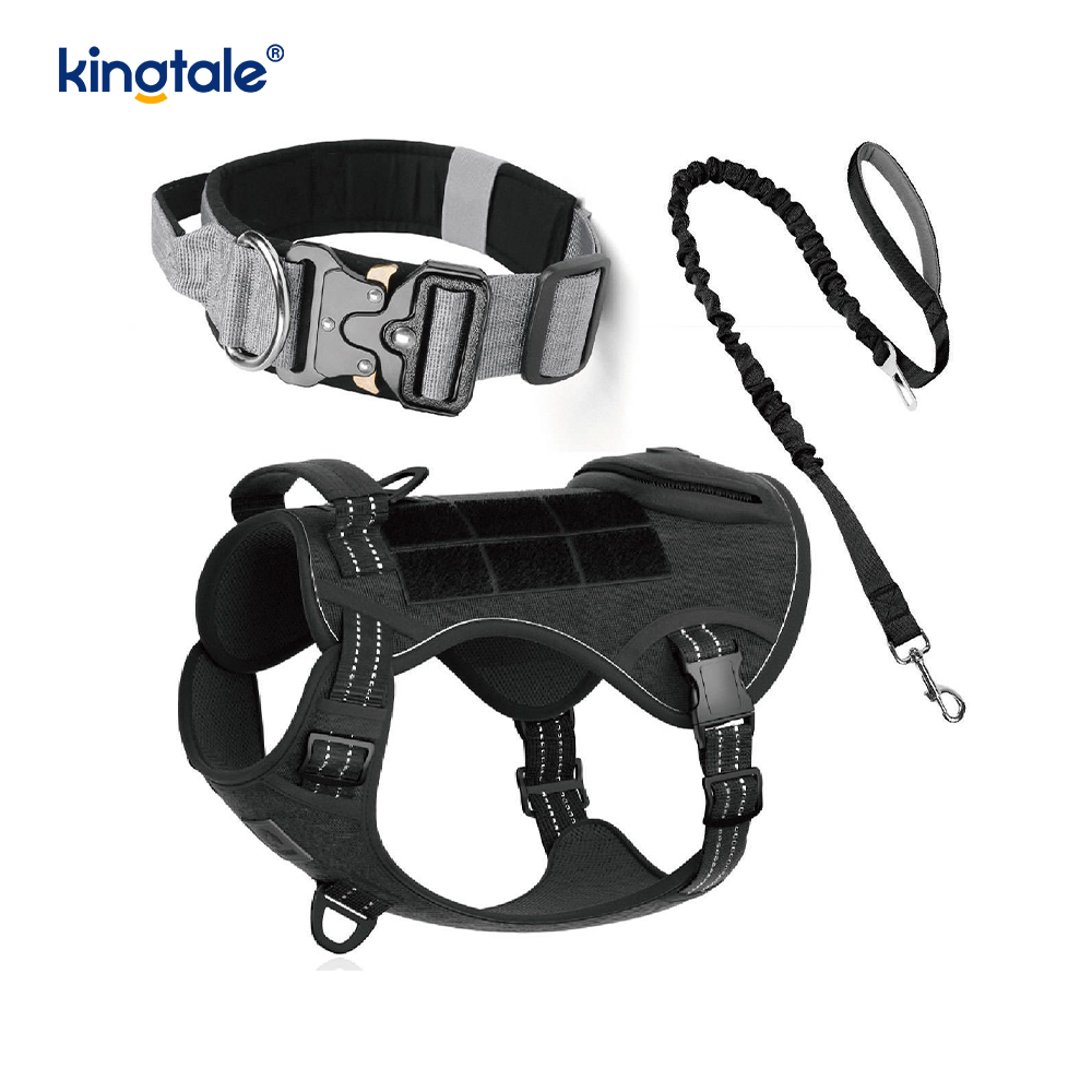 Entrenamiento de nailon sin arnés con correa y cuello para perros con control