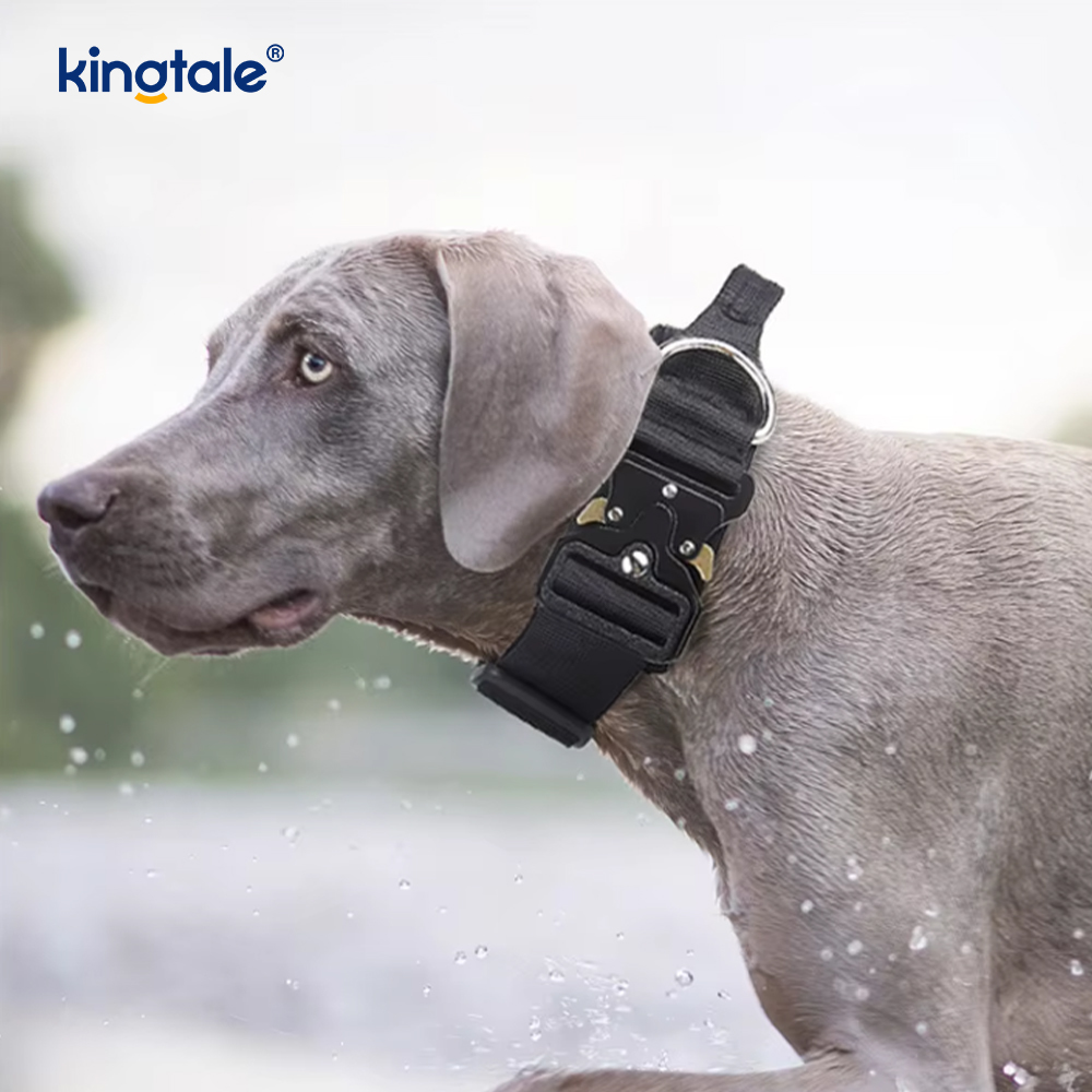 Entrenamiento de nailon sin arnés con correa y cuello para perros con control