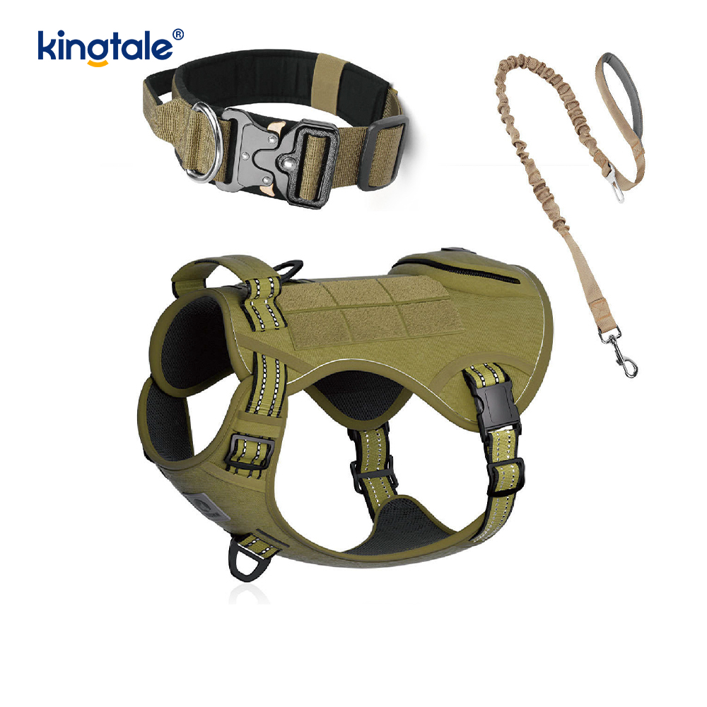 Entrenamiento de nailon sin arnés con correa y cuello para perros con control
