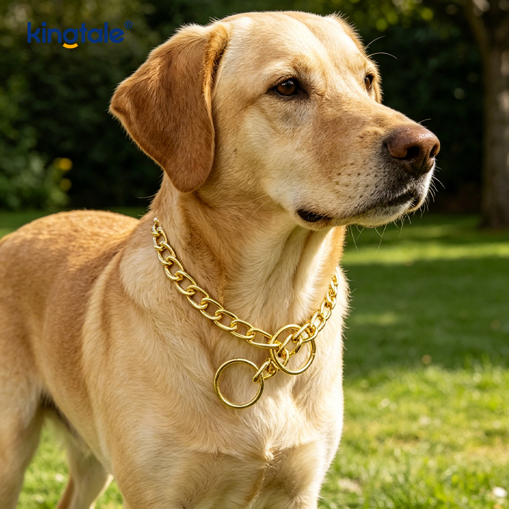 Collar de cadena de perro con cadena de estrangulamiento de metal grande para mascotas doradas para pequeños, medianos y grandes