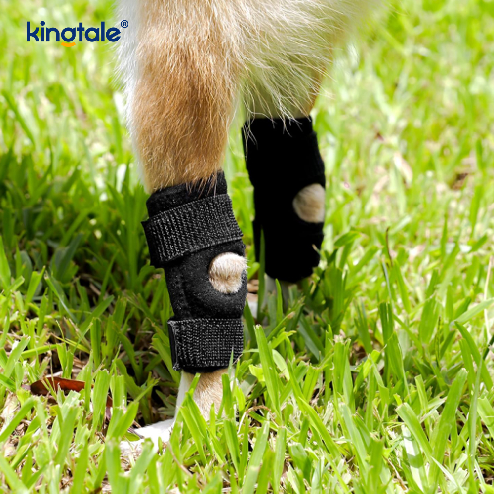 Rodillera para perro, rodillera para pata trasera, envoltura de compresión para articulación de pierna trasera canina