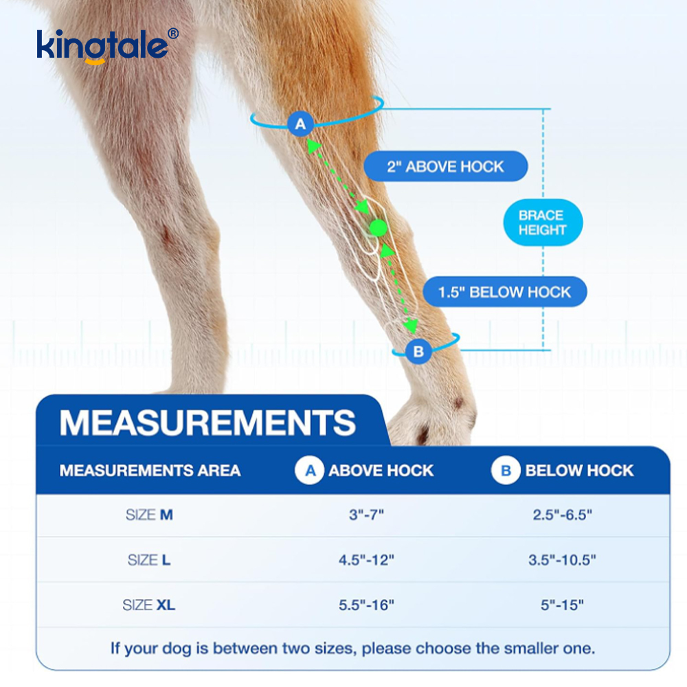 Rodillera para perro, rodillera para pata trasera, envoltura de compresión para articulación de pierna trasera canina