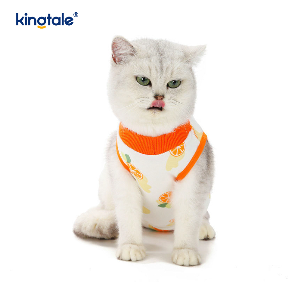 Traje de recuperación para gatos, mono suave, camisa, ropa, protección para lamer