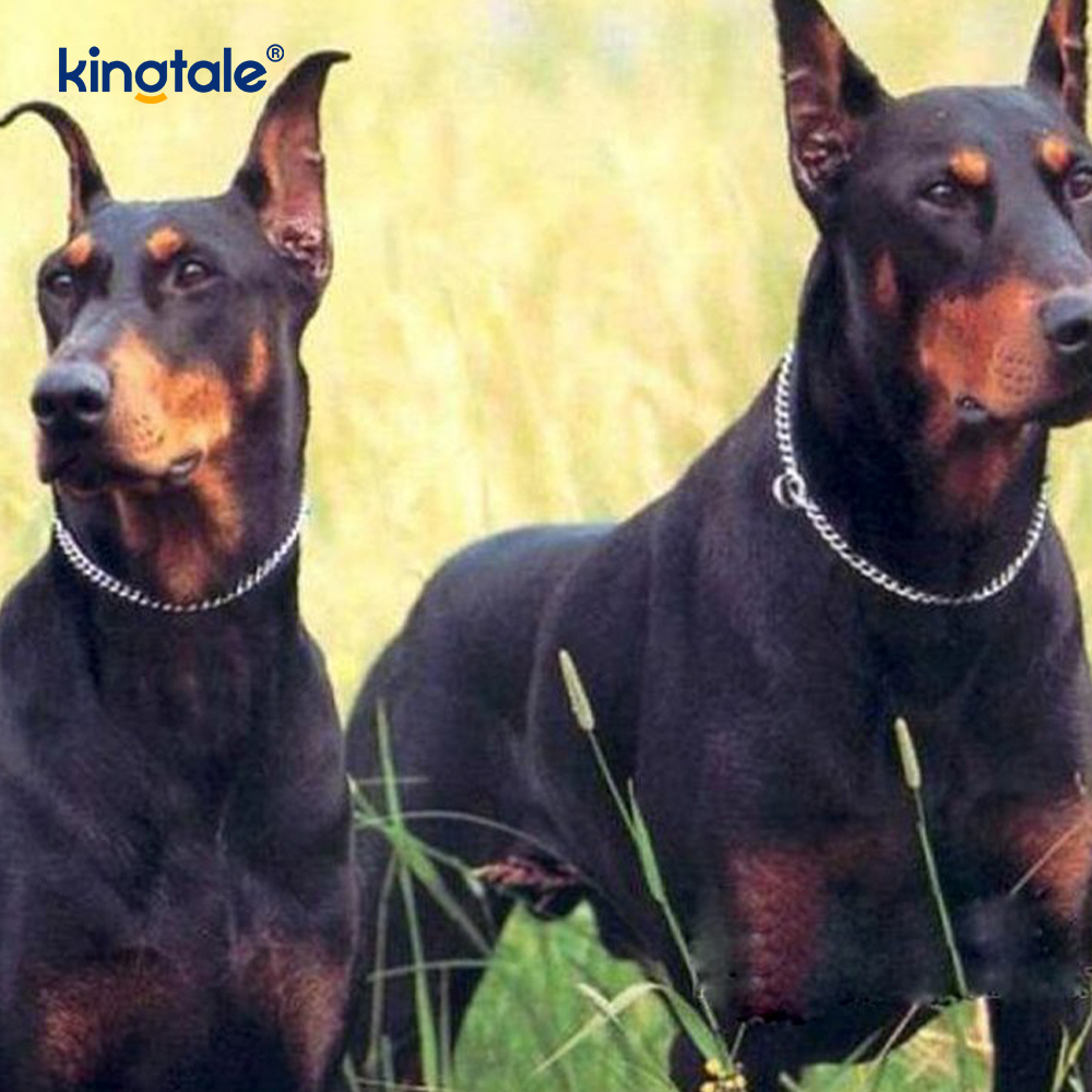 Collar de perro de cadena de estrangulamiento de perro de metal plano cromado para mascotas