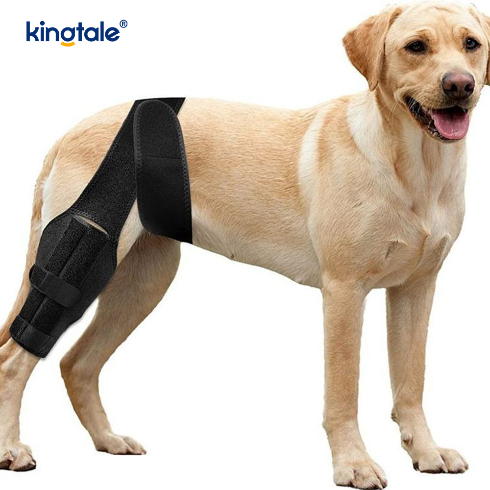 Vendaje para patas de perro, soporte para pata trasera