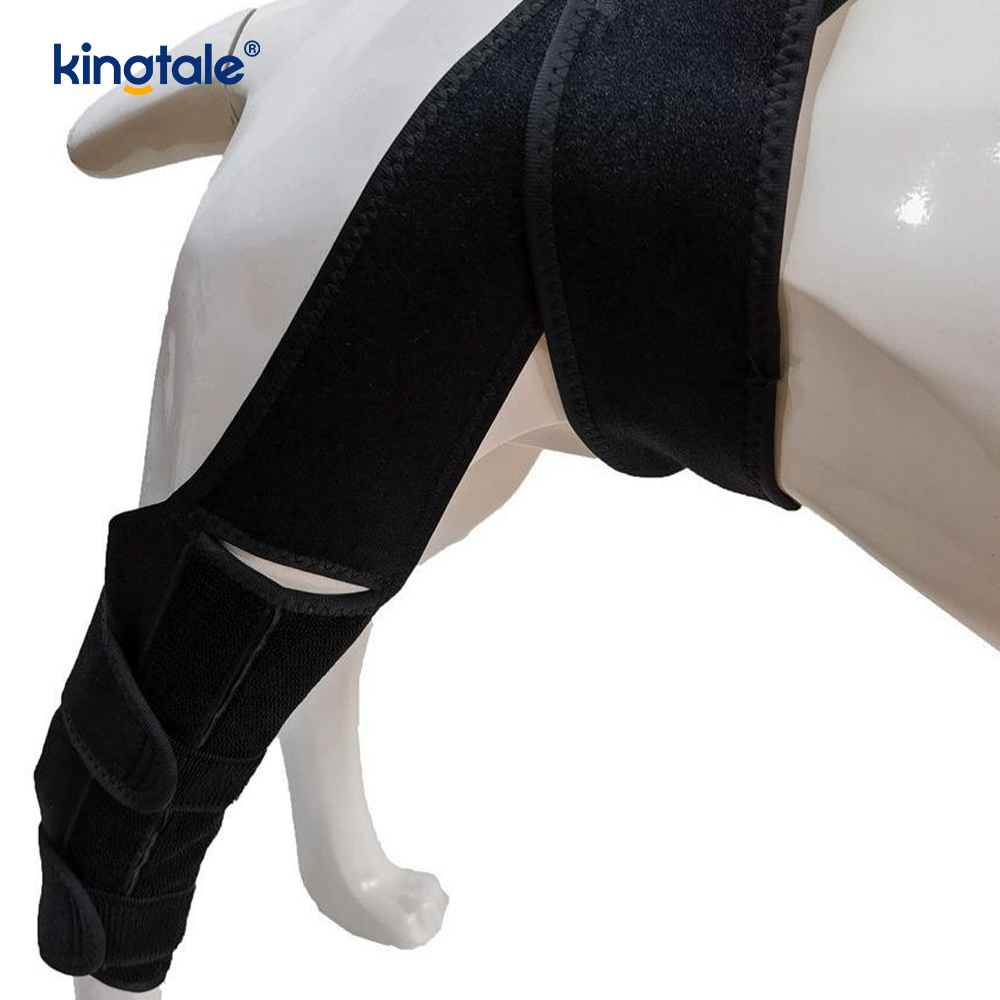 Vendaje para patas de perro, soporte para pata trasera