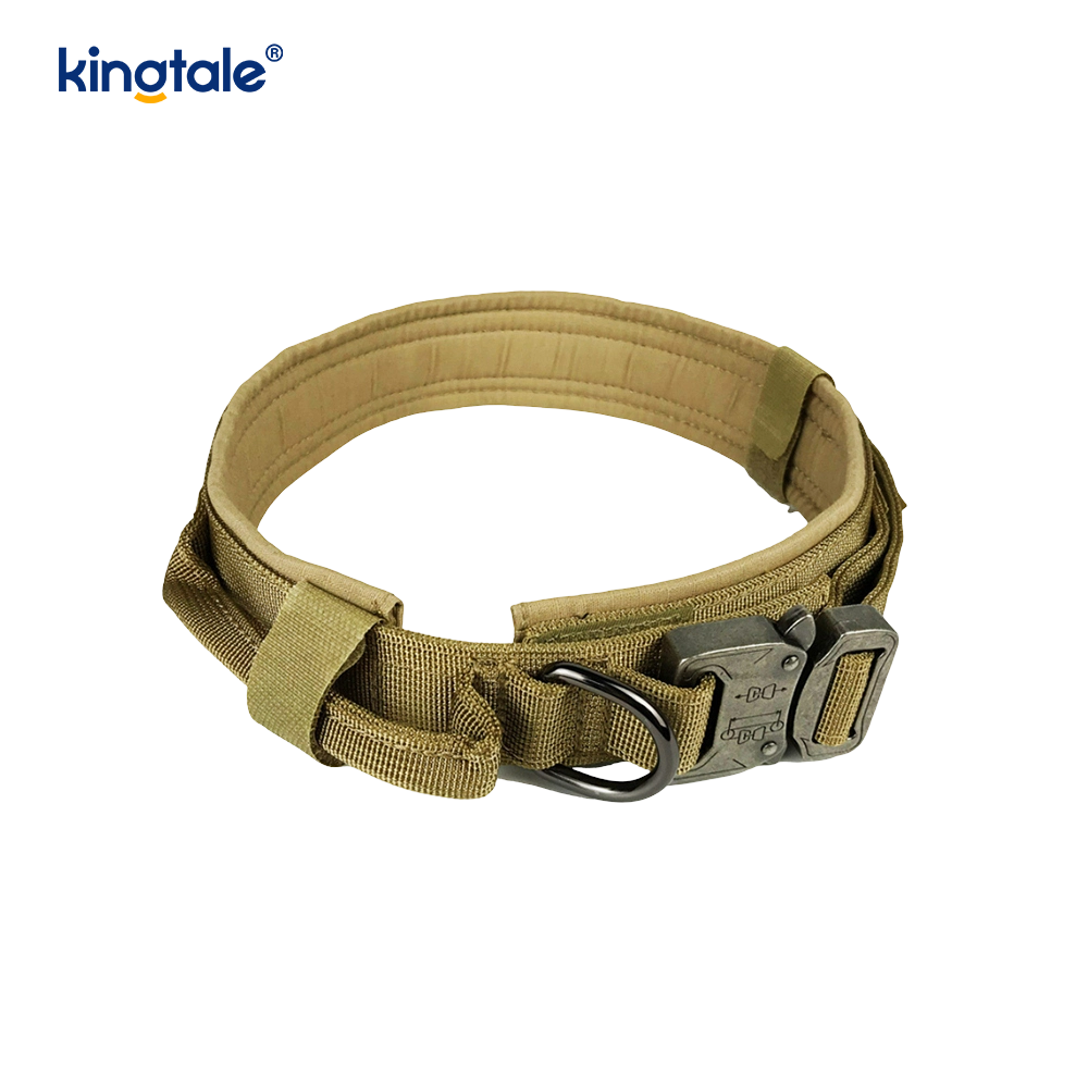 Collar de perro resistente del cinturón de la hebilla del metal Collar de perro resistente