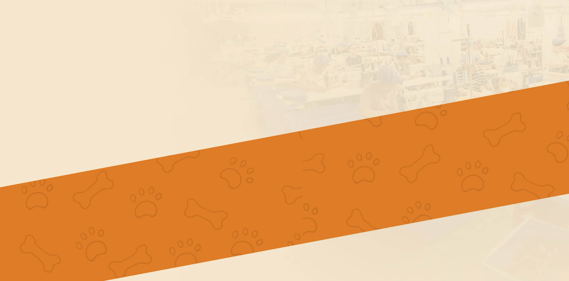 Zhangjiagang Jintianrui International Trading Co., Ltd.